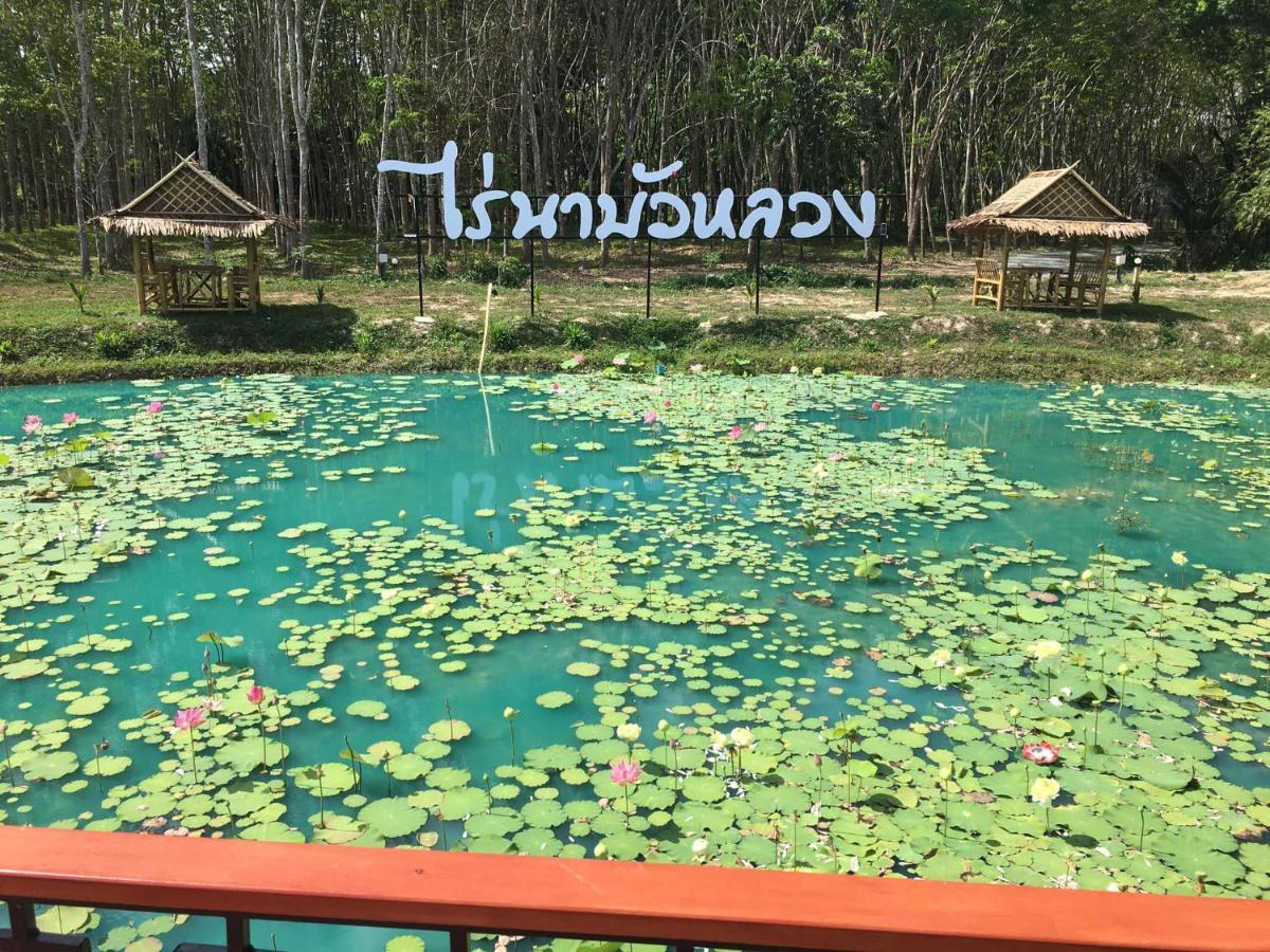 ไร่นาบัวหลวง คาเฟ่ & ฟาร์มสเตย์ Raina Bualuang Cafe & Farm Stay Ban Na No Exteriör bild