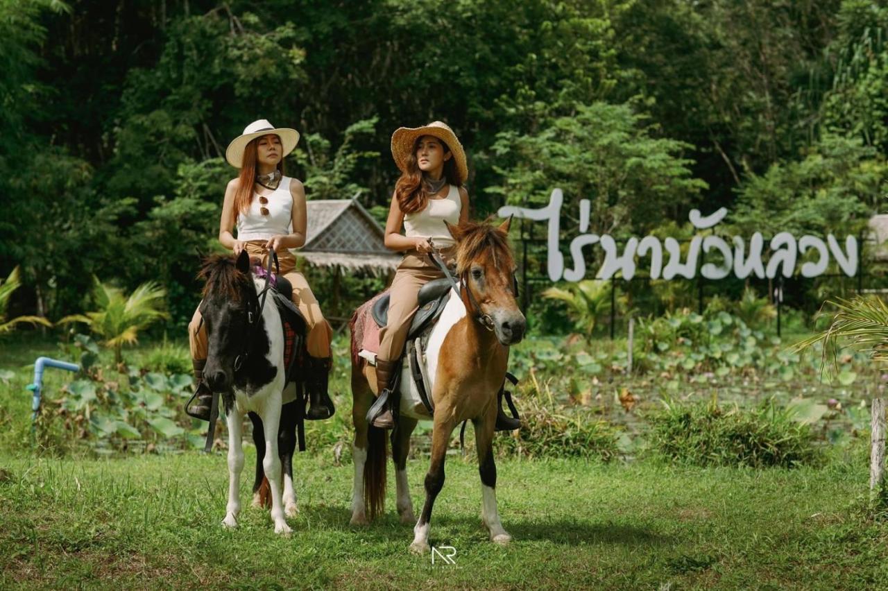 ไร่นาบัวหลวง คาเฟ่ & ฟาร์มสเตย์ Raina Bualuang Cafe & Farm Stay Ban Na No Exteriör bild