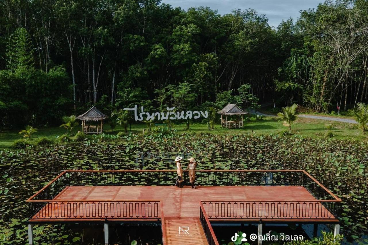 ไร่นาบัวหลวง คาเฟ่ & ฟาร์มสเตย์ Raina Bualuang Cafe & Farm Stay Ban Na No Exteriör bild