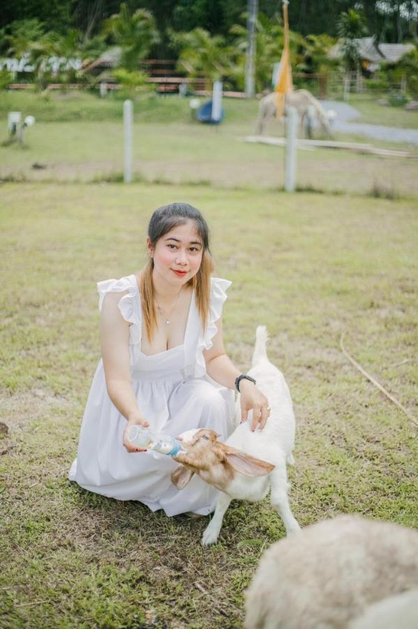 ไร่นาบัวหลวง คาเฟ่ & ฟาร์มสเตย์ Raina Bualuang Cafe & Farm Stay Ban Na No Exteriör bild