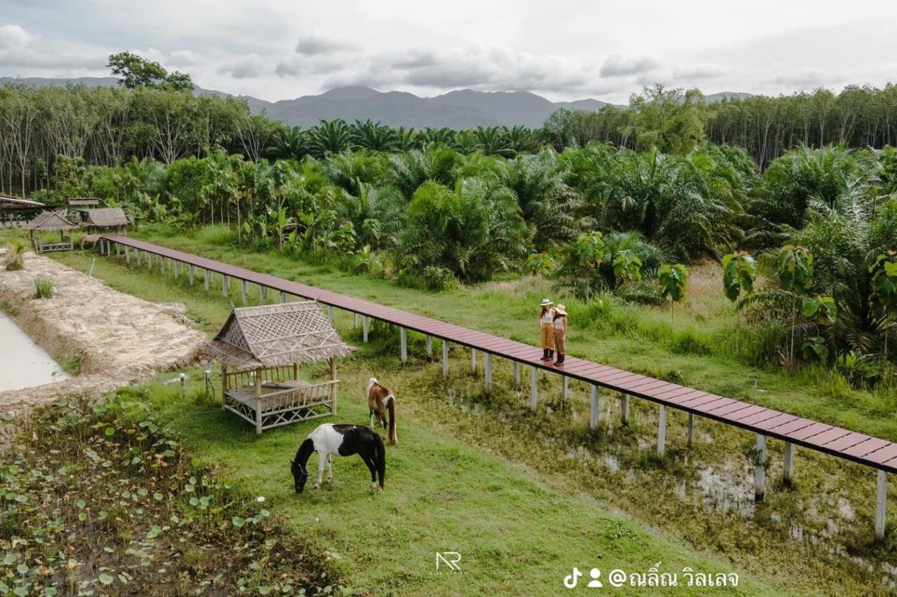 ไร่นาบัวหลวง คาเฟ่ & ฟาร์มสเตย์ Raina Bualuang Cafe & Farm Stay Ban Na No Exteriör bild