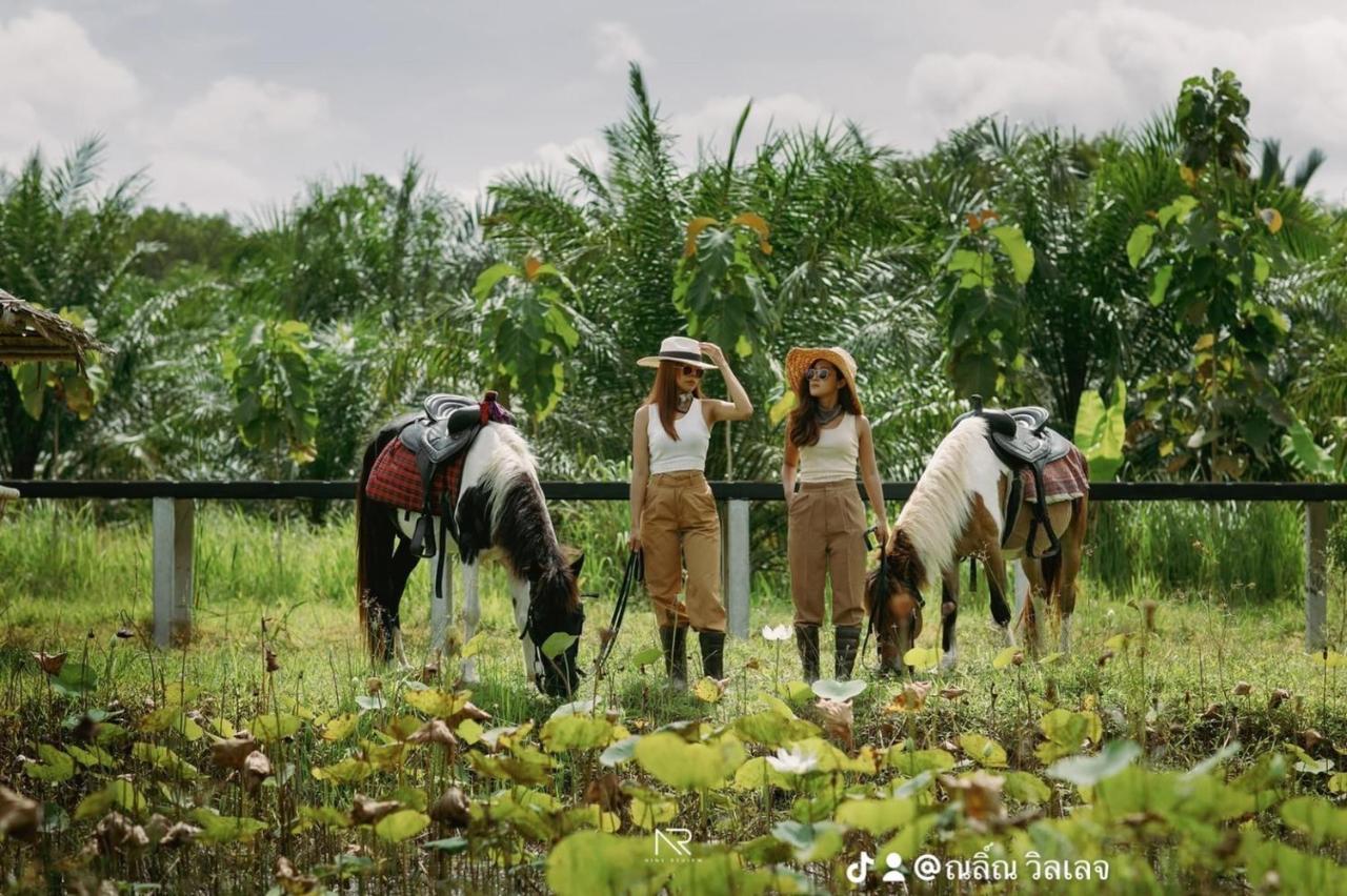 ไร่นาบัวหลวง คาเฟ่ & ฟาร์มสเตย์ Raina Bualuang Cafe & Farm Stay Ban Na No Exteriör bild