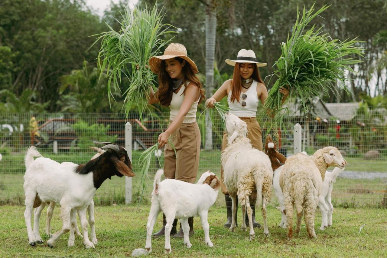 ไร่นาบัวหลวง คาเฟ่ & ฟาร์มสเตย์ Raina Bualuang Cafe & Farm Stay Ban Na No Exteriör bild
